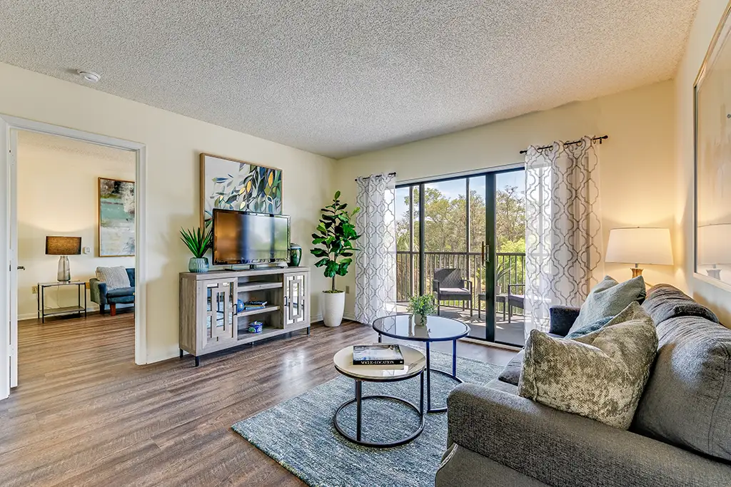 Apartment Living Room